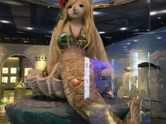 -成都泰迪熊博物馆