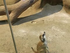 -苏州海洋馆