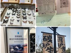 -蟠龙天地-P2停车场