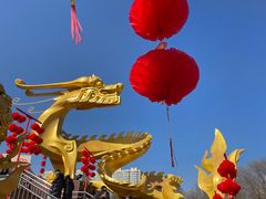 -中央广播电视塔