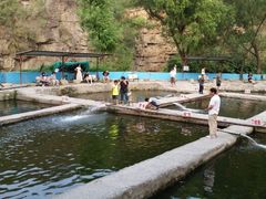 android_upload_pic-双新垂钓园