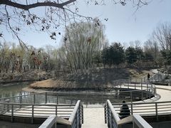 -大兴滨河森林公园