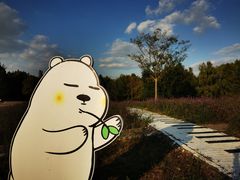 -同里国家湿地公园