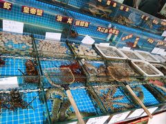 -江杨农产品批发市场