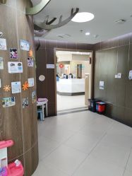 -睿宝儿科·眼科·口腔(杨浦新江湾城店)