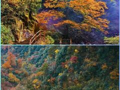 -大明山自然探索公园