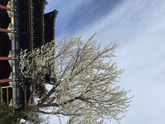 iphone_upload_pic-景山公园