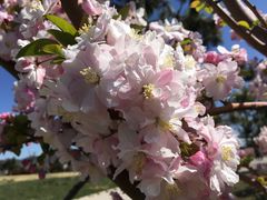 -乐天影城(威高广场店)