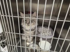 -达爱动物医院·犬猫分区·CT·复杂眼科(远洋山水分院)