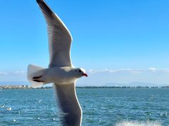 -昆明冠生园·蛋糕·面包(南强街店)