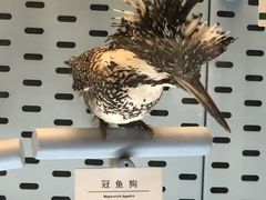 -浙江自然博物院(杭州馆)