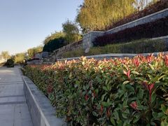 -西安汉城湖景区