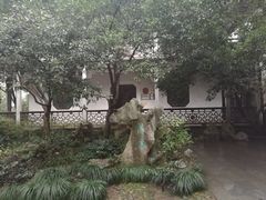 -西湖外事游船(花港观鱼码头)