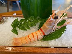 -Mr.Fish鱼鲜生海鲜放题(高德置地冬广场店)