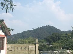-十八棵（老龙井）御茶园(老龙井店)