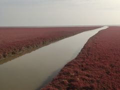 -红海滩国家风景廊道