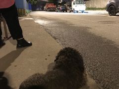 -霍元甲烧烤(江城商务大楼店)