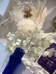 -YESIDO椰岛造型烫发染发