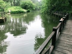 -宝岩生态观光园