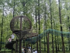 -黄海国家森林公园