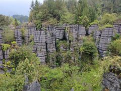 -梭布垭石林景区