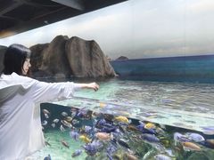-江和美海洋公园