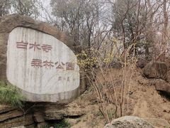 -白水寺森林公园