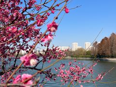 -石湖景区