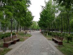 -东升八家郊野公园
