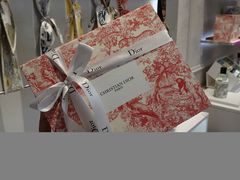 -DIOR迪奥(德基广场女装店)