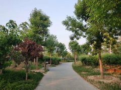 -象湖生态湿地公园