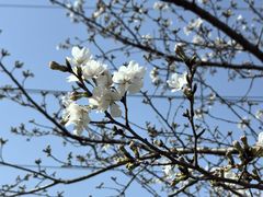 -西北湖绿化广场