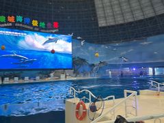 -泉城欧乐堡海洋极地世界