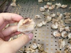 -百佳永辉超市(东城万达店)