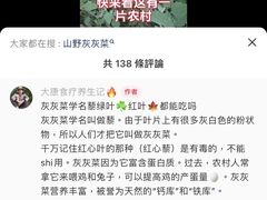 -广东惠东海龟国家级自然保护区