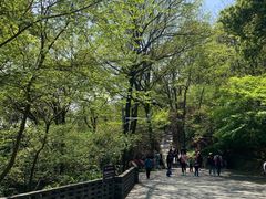 -上海佘山国家森林公园西佘山园