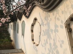 -北京鹫峰国家森林公园