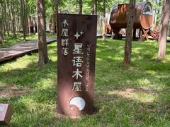 -黄海国家森林公园