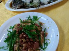 -鸽王世家(东华东路店)