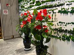 -锦州中央大街希尔顿花园酒店