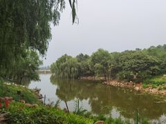 -北京张裕爱斐堡酒庄
