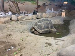 -太原动物园