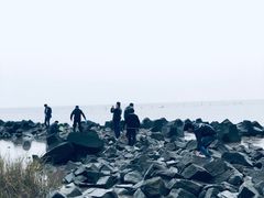 -南汇嘴观海公园