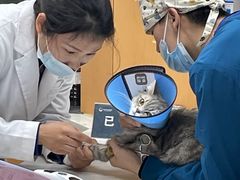 -联合动物医院(光谷诊疗中心)
