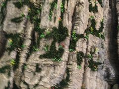 -房山世界地质公园博物馆