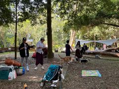 -南宁良凤江国家森林公园