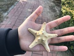 -东疆建设开发纪念公园