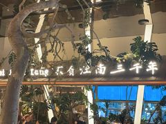 -桂满陇·海市蜃楼·黑金(国金店)