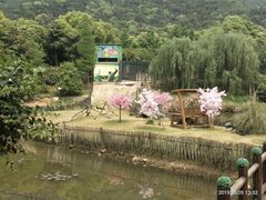 -无锡动物园·太湖欢乐园
