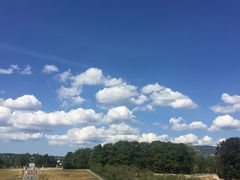 -维格兰雕塑公园